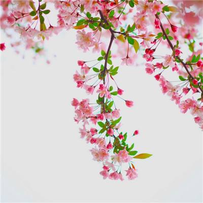 狙击手之黑色行动手机版下载
